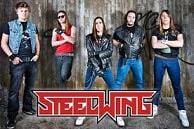 Steelwing