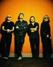 Chickenfoot